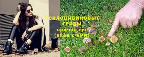 спиды Бородино