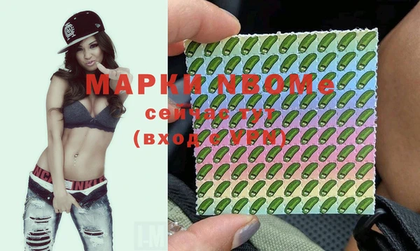 спиды Бородино