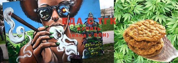 спиды Бородино