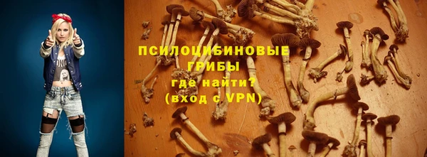 гидропоника Бронницы