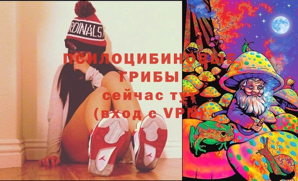 spice Бугульма